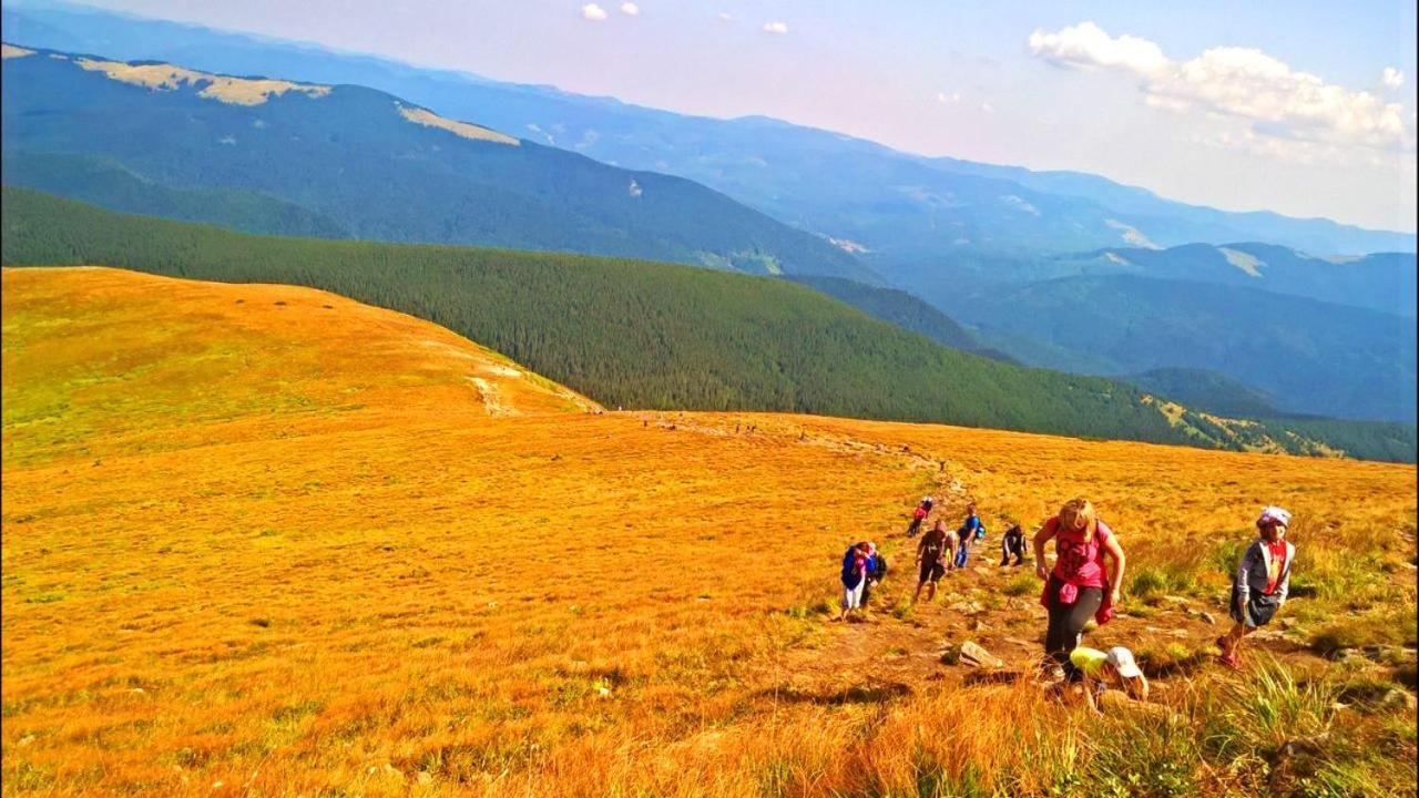 Отель Ансол Ворохта Экстерьер фото